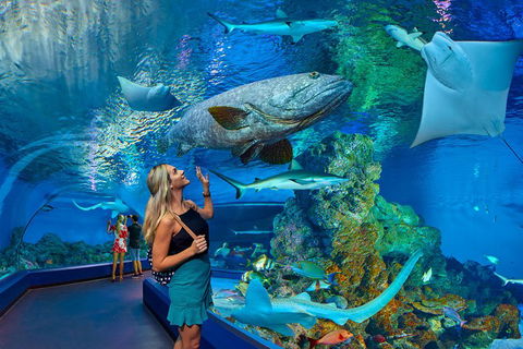 Cairns Aquarium Admission Ticket - Accommodation Burleigh 3