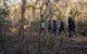 Wild Australian Wildlife 4WD Tour From Sydney - thumb 0