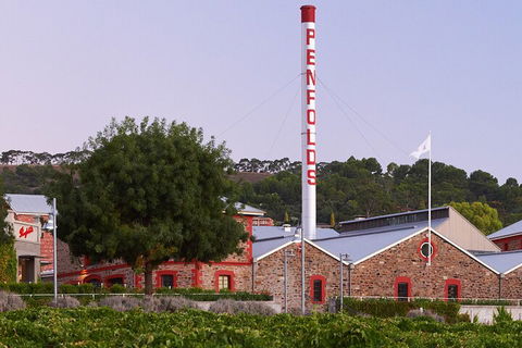 Ultimate Penfolds Magill Estate Experience - Accommodation Burleigh 3