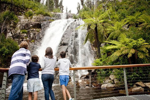 Lake Mountain Snow Trip Including Yarra Valley Chocolaterie From Melbourne - Accommodation Burleigh 0