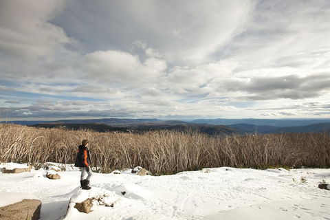 Lake Mountain Snow Trip Including Yarra Valley Chocolaterie From Melbourne - Accommodation Burleigh 5