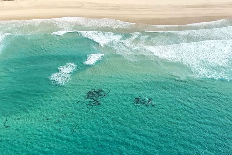 Coastal Helicopter Shared Flight - 20 Minutes - Accommodation Burleigh 4