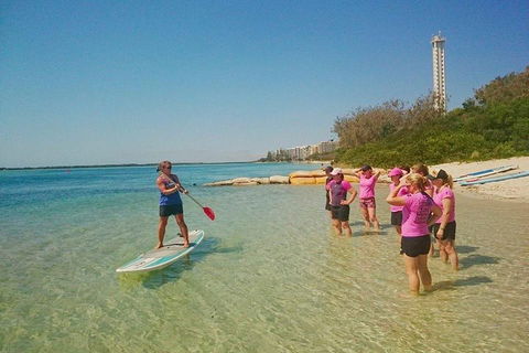Golden Beach 1-Hour Stand-Up Paddleboard Hire On The Sunshine Coast - Accommodation Burleigh 1