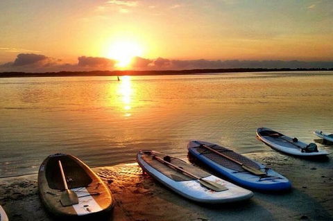 Golden Beach 1-Hour Stand-Up Paddleboard Hire On The Sunshine Coast - Accommodation Burleigh 2