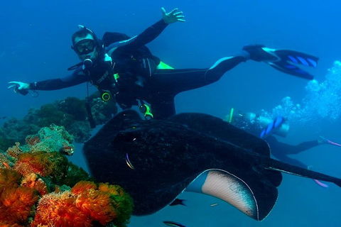 Scuba Dive The S.S. Yongala Wreck On The Great Barrier Reef. - Accommodation Burleigh 0