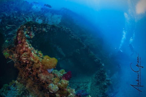 Scuba Dive The S.S. Yongala Wreck On The Great Barrier Reef. - Accommodation Burleigh 3
