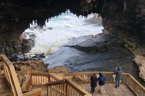 Kangaroo Island 4WD Tour - Best Of KI - Accommodation Burleigh 1