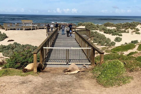 Kangaroo Island 4WD Tour - Best Of KI - Accommodation Burleigh 2